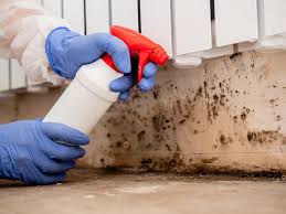 Mold Remediation for Vacation Homes in June Park, FL